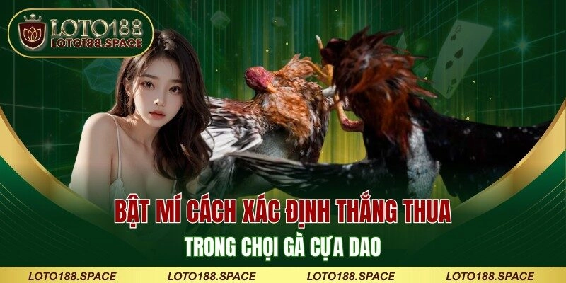 Bật mí cách xác định thắng thua trong đá gà cựa dao