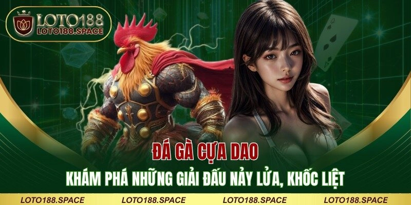 Đá Gà Cựa Dao - Khám Phá Những Giải Đấu Nảy Lửa, Khốc Liệt