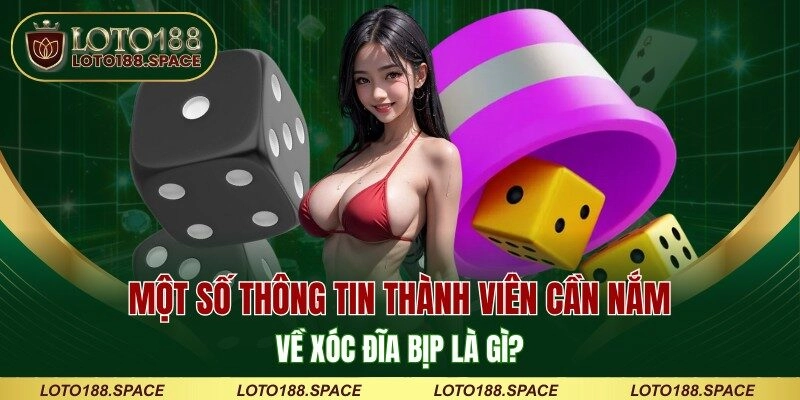 Một số thông tin thành viên cần nắm về xóc đĩa bịp là gì
